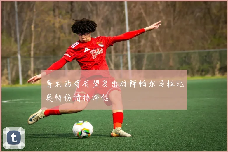 普利西奇有望复出对阵帕尔马拉比奥特伤情待评估