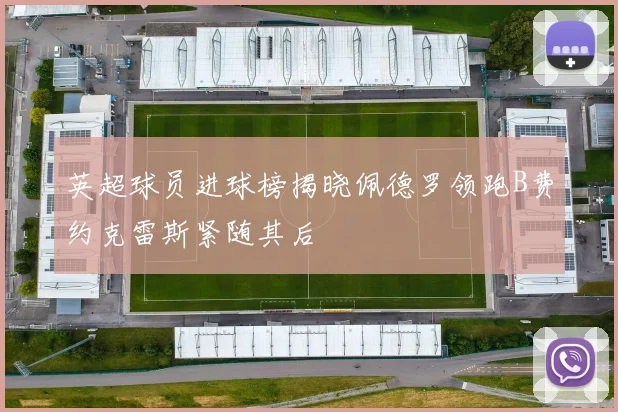 英超球员进球榜揭晓佩德罗领跑B费约克雷斯紧随其后